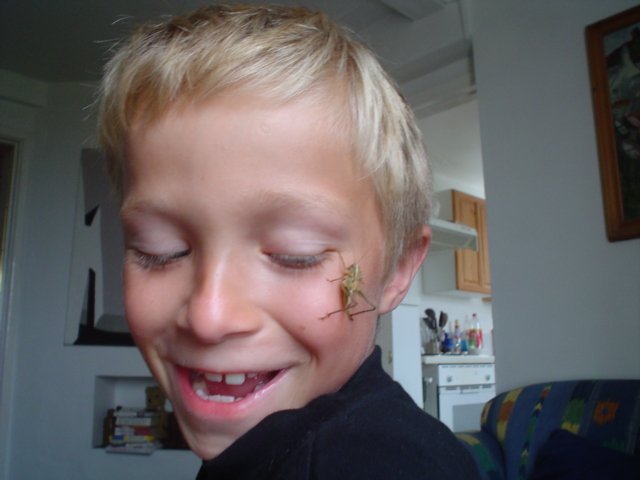 Toby with grasshopper