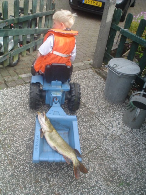 a pike in the trailer